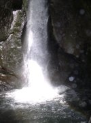 4.30.06 Hamilton Mountain 019 